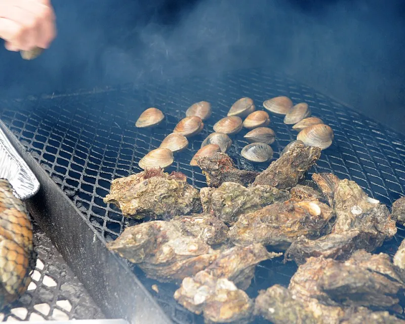 Shell Game: A Beginner's Complete Playbook for Buying, Keeping, and Cooking Live Shellfish