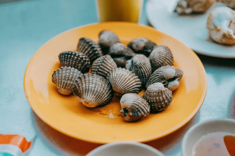 Meet the Underdogs: Incredible Shellfish Your Fish Market Has Been Hiding in Plain Sight