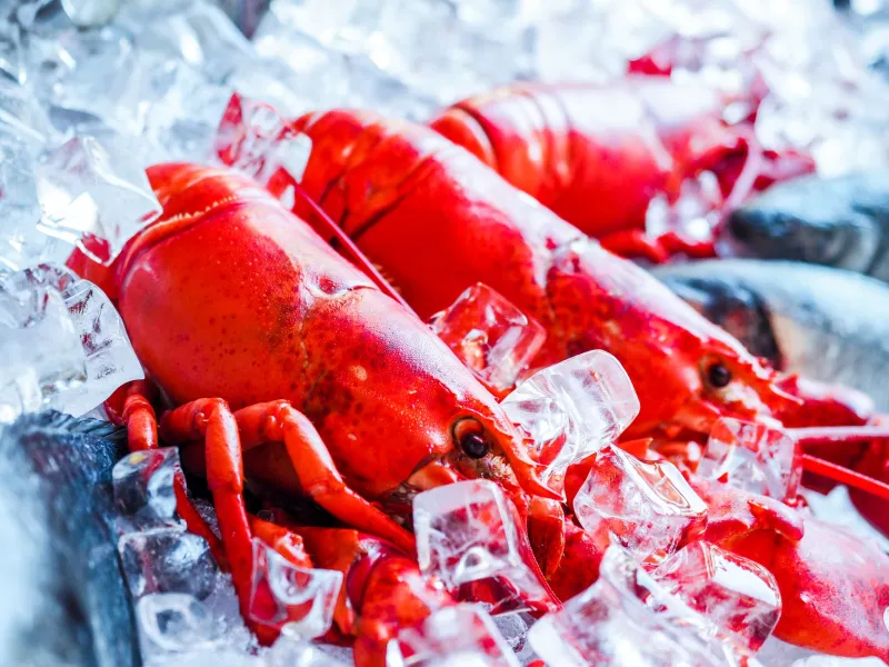 Stop Chasing Fresh: The Case for Frozen Lobster (and Seafood) You've Been Ignoring