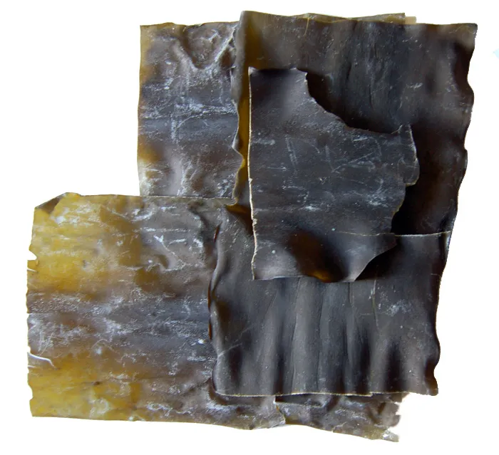The Quiet Flavor Bomb: Ocean Ingredients That Make Everything You Cook Taste More Like Itself